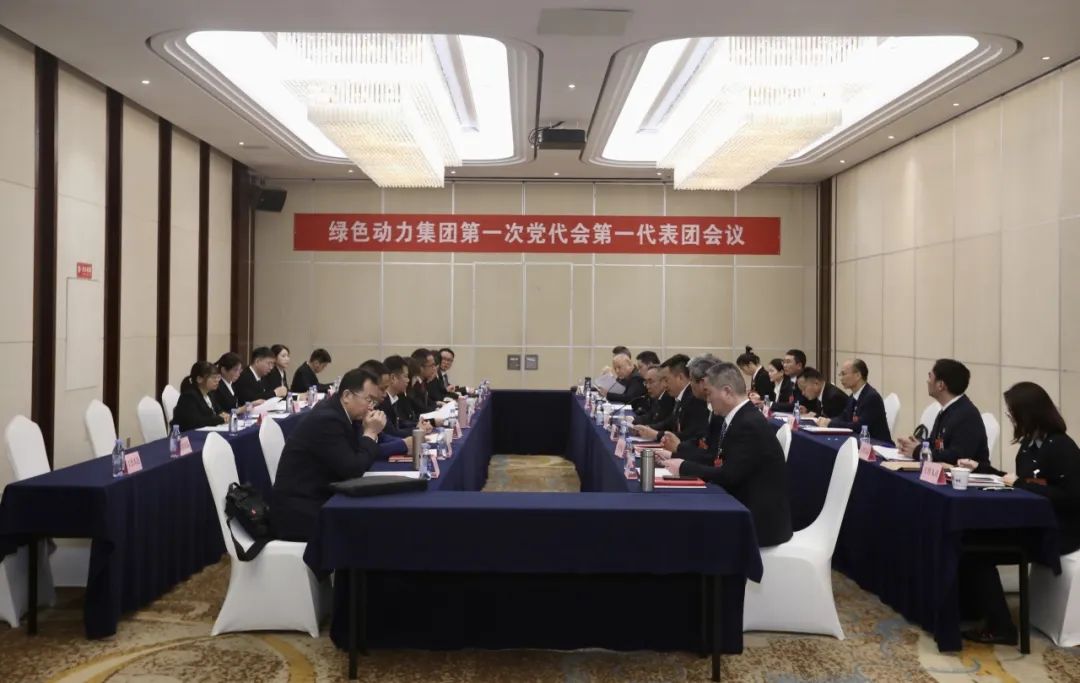 铭刻使命再启程，代表热议“两委”汇报