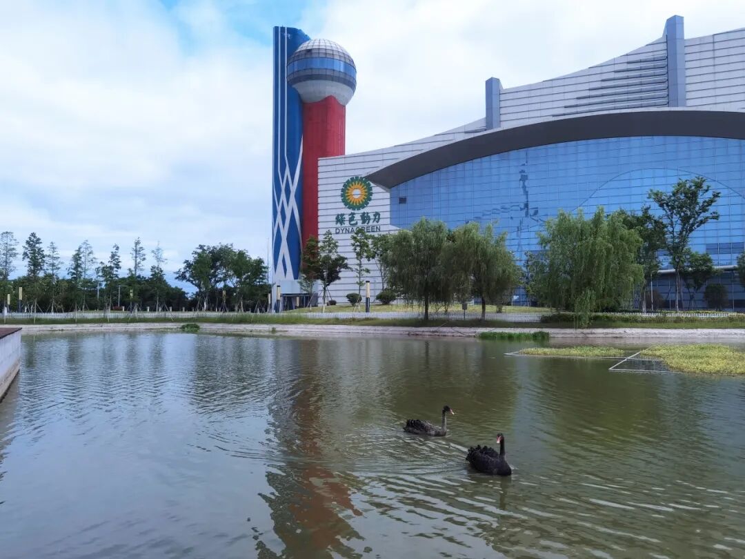 3133cc拉斯维加斯·(中国游)官方网站