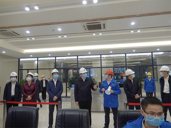 广西壮族自治区人大常委会副主任张秀隆视察3133cc拉斯维加斯博白项目